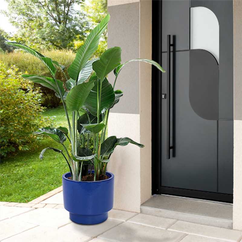 24780379