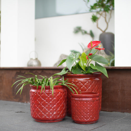 Ceramic Planter Set of 3 in Bean Paste Red Ceramic Modern Pots for Indoor or Patio Plant Display