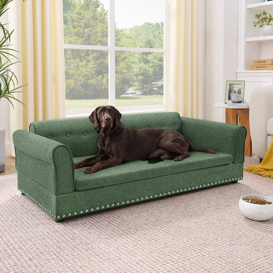 Pet Bed Multiple Color Options Foam Modern with Storage and Backrest for Bedroom or Guest Room