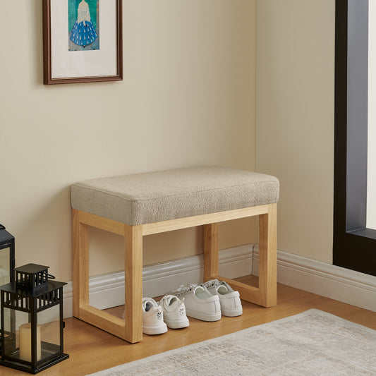 Shoe Storage Bench Multiple Color Options Foam Modern with Storage for Living Room or Entryway