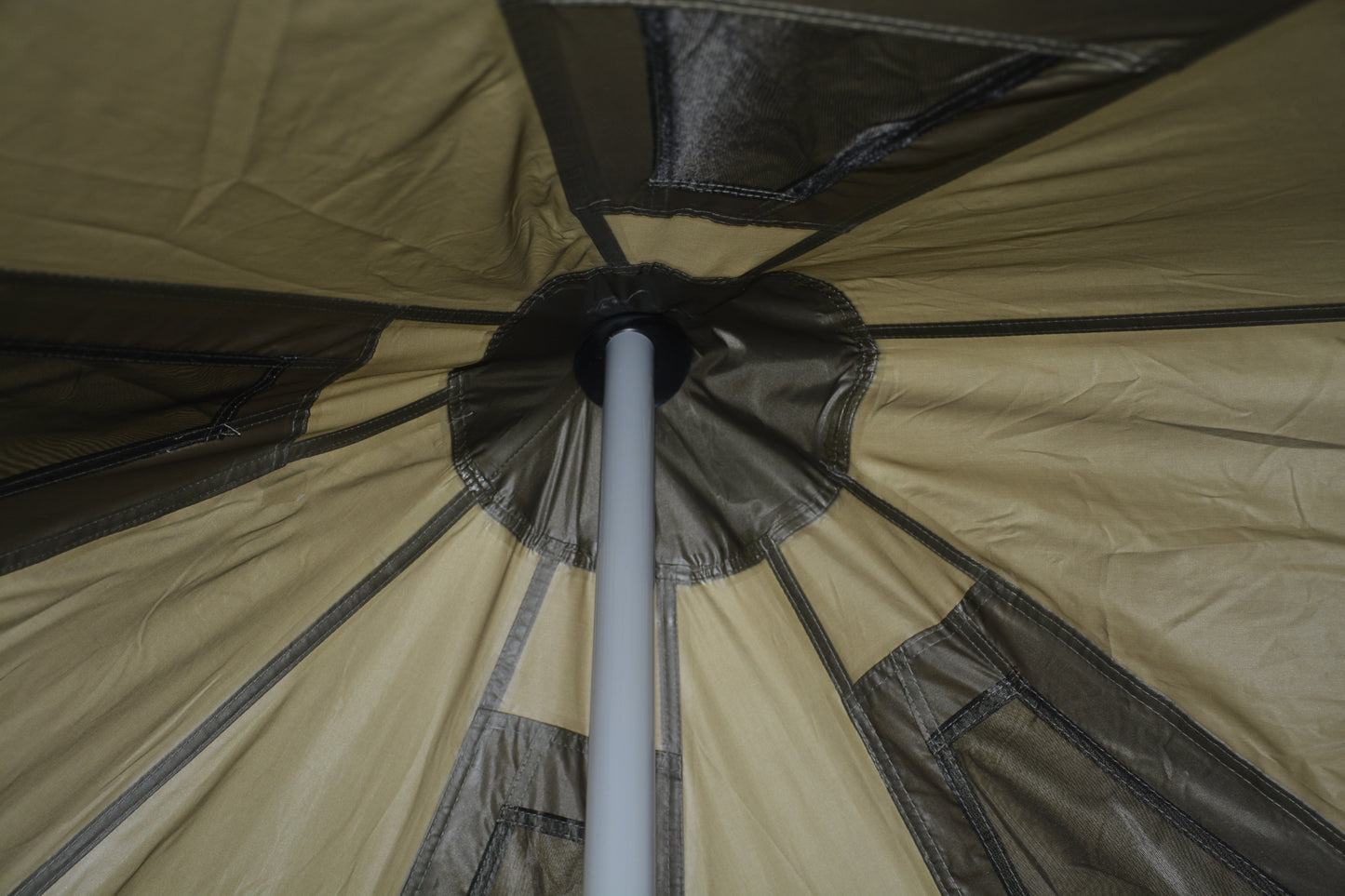 25519776