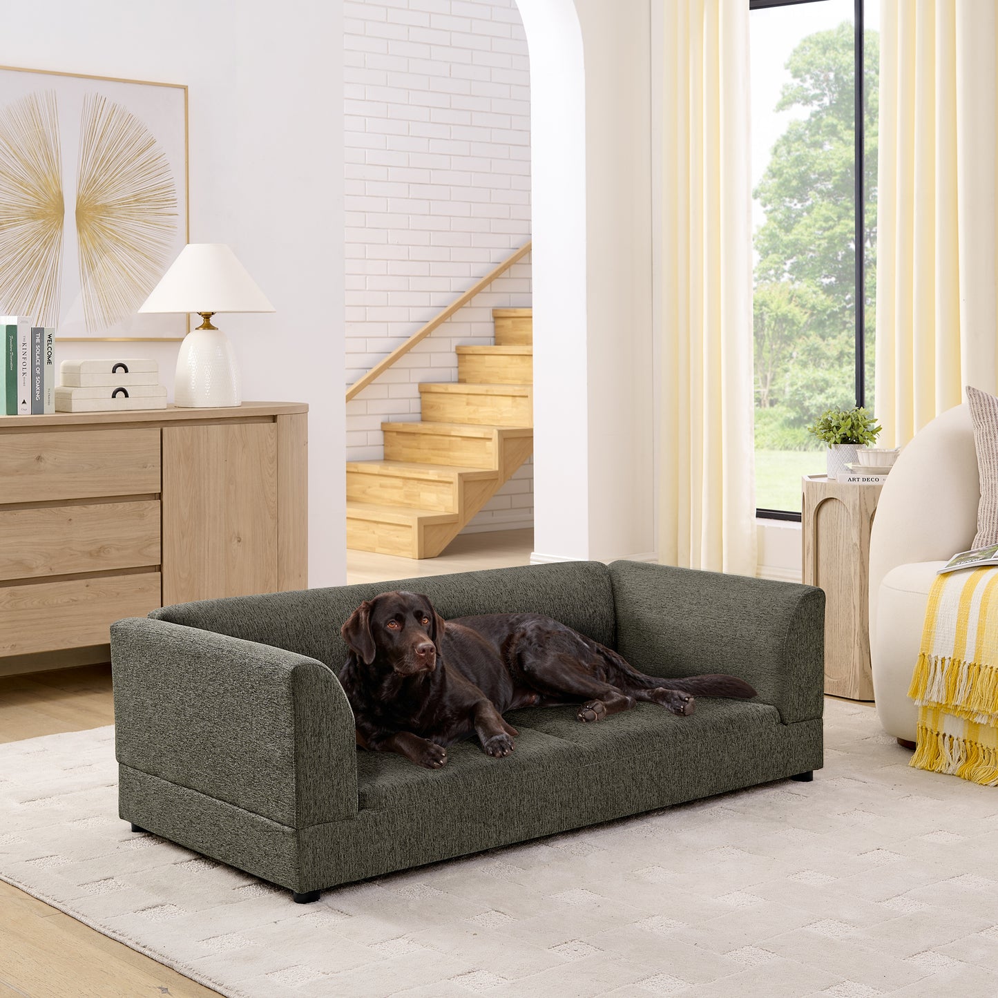 Comfortable Oversized Pet Sofa for Medium/Large Dogs - Modern Rectangular Design with Back