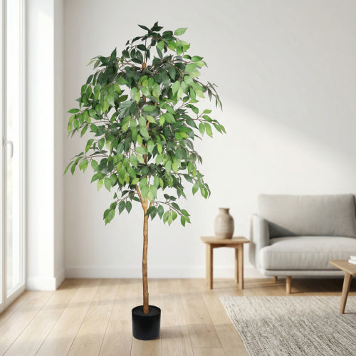 6-Foot Artificial Ficus Tree with Natural Trunk and Black Plastic Pot