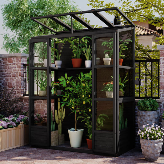 Garden Greenhouse Wood Black for Patio for home use