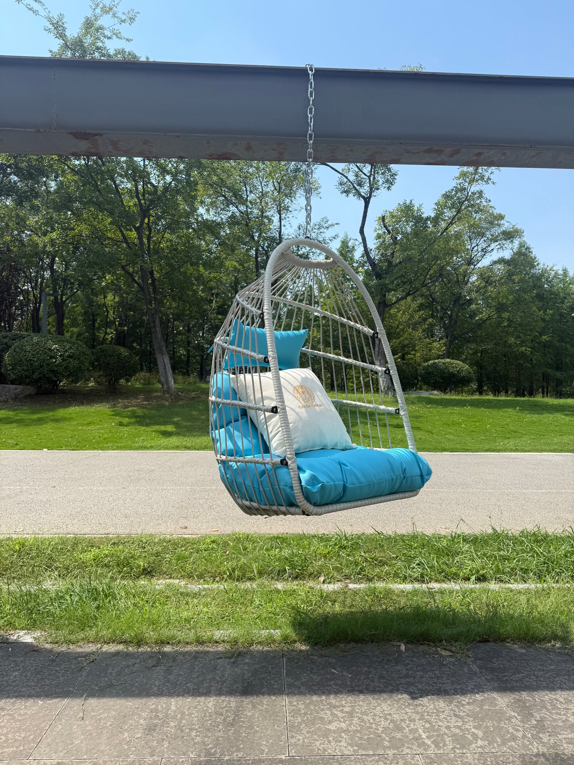 23984819