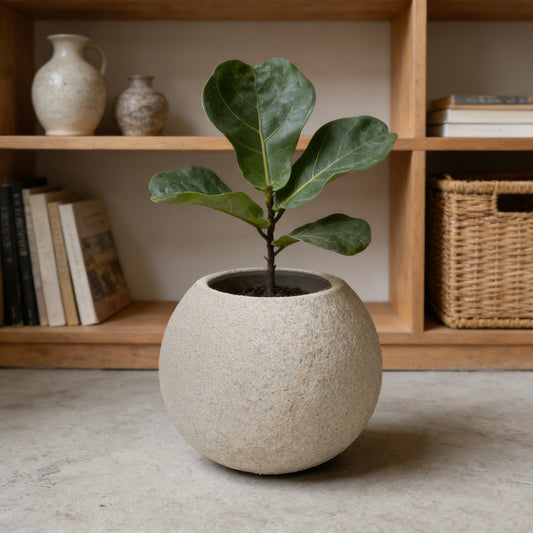 Planter 15.35-Inch Magnesium Oxide Beige for Indoor, Outdoor or Decorative Plant Display