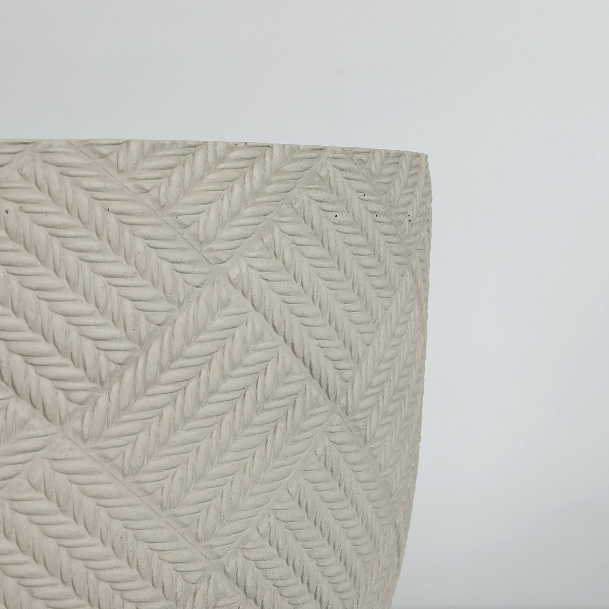 24780696