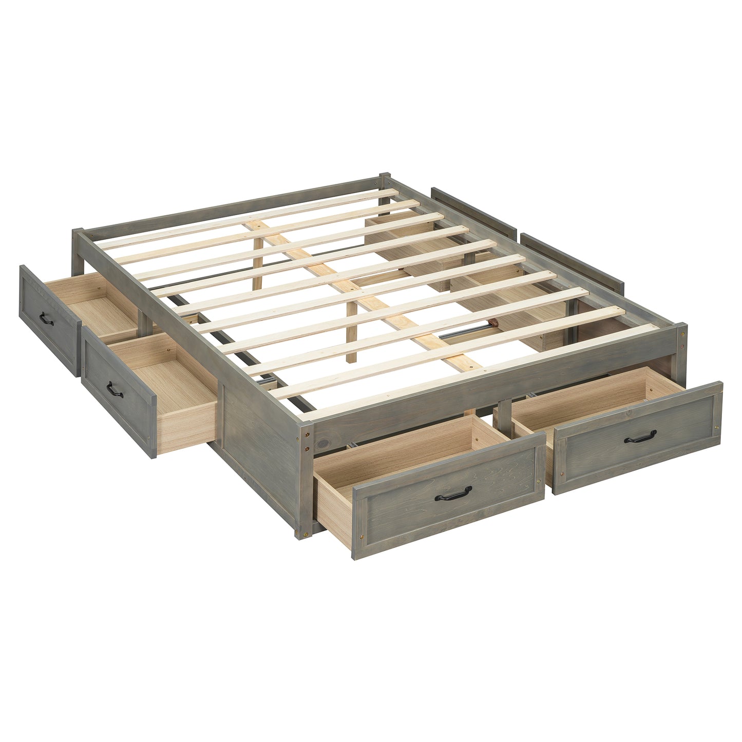 24653613