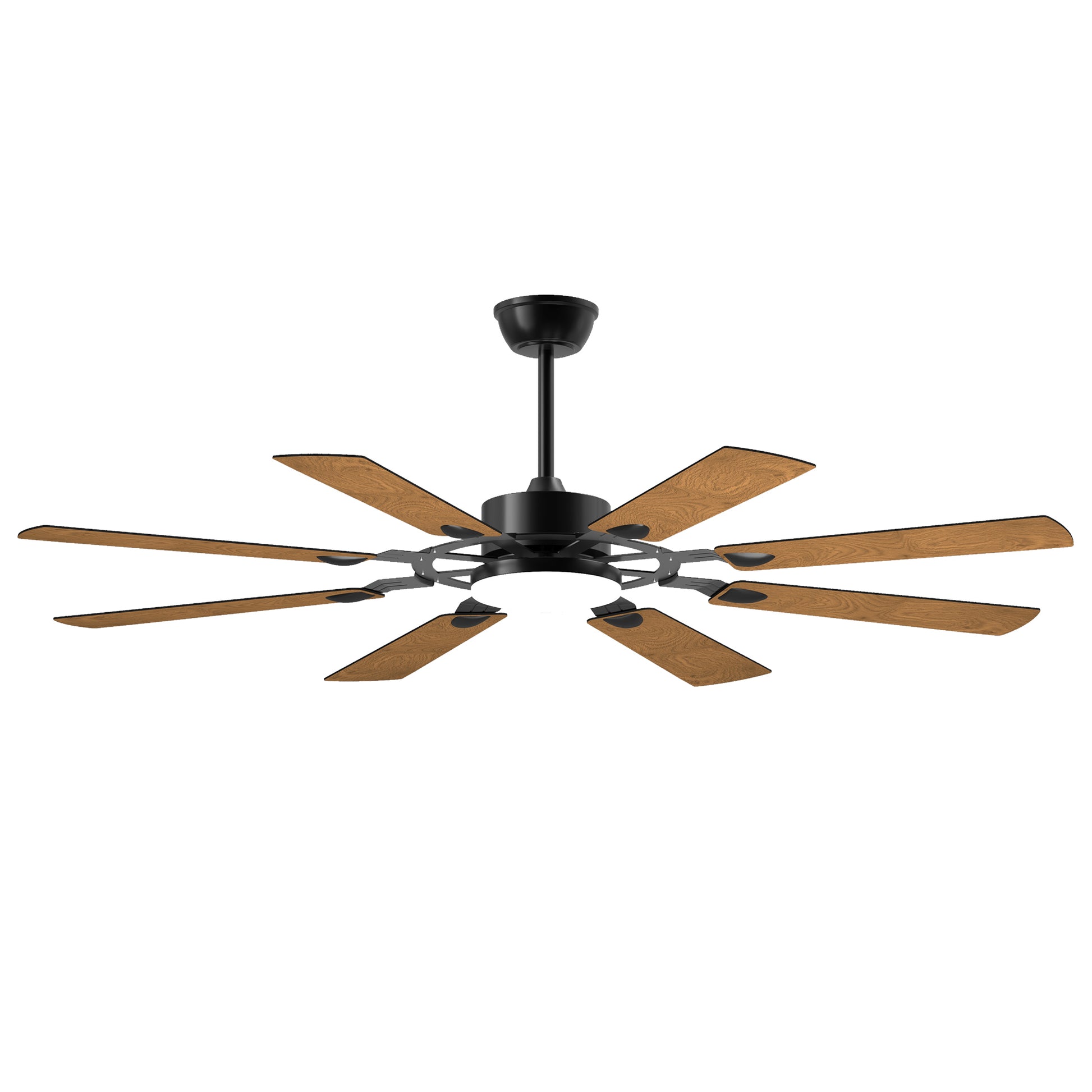 24009176