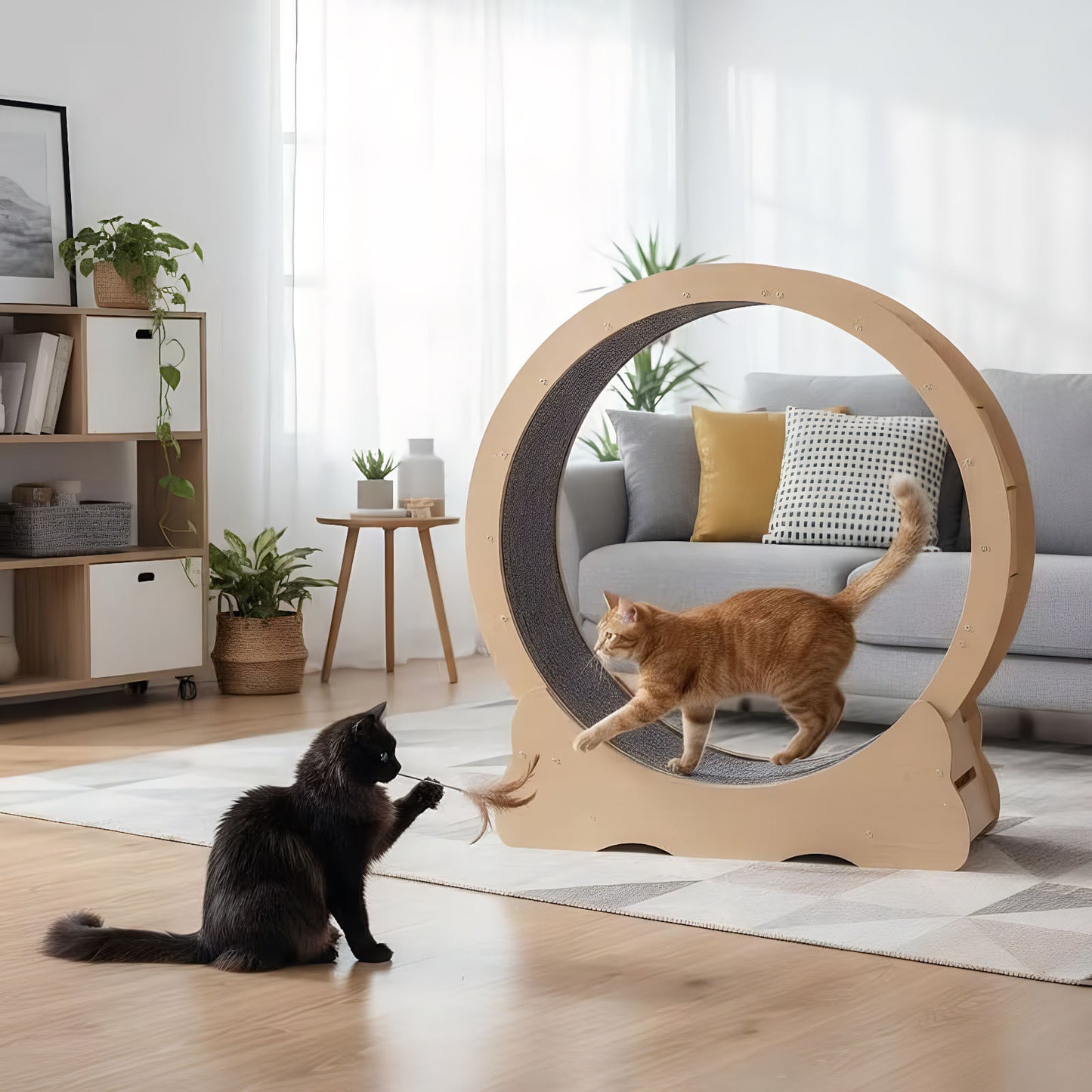 Title: Large Cat Exercise Wheel Treadmill – Quiet Indoor Running Wheel with Detachable Carpet, Sturdy MDF Cat Fitness Trainer for Walking, Running & Play