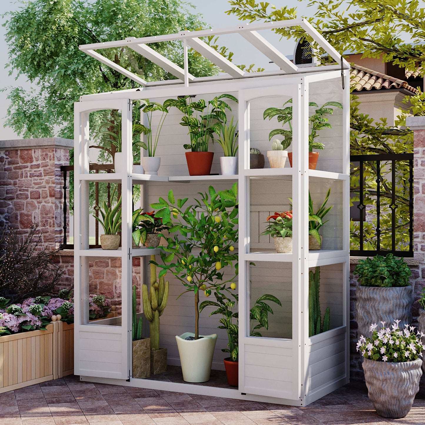 78-inch Wooden Greenhouse Cold Frame with 4 Independent Skylights and 2 Folding Middle Shelves, Walk-in Outdoor Greenhou