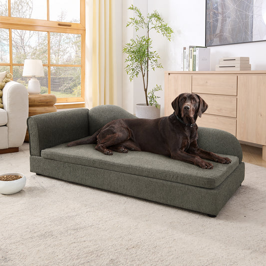 Pet Bed Multiple Color Options Foam Modern with Storage and Backrest for Bedroom or Guest Room