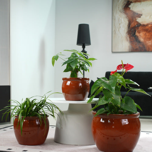 Handmade Ceramic Planter Set of 3 with Drainage Holes, Rust Red
