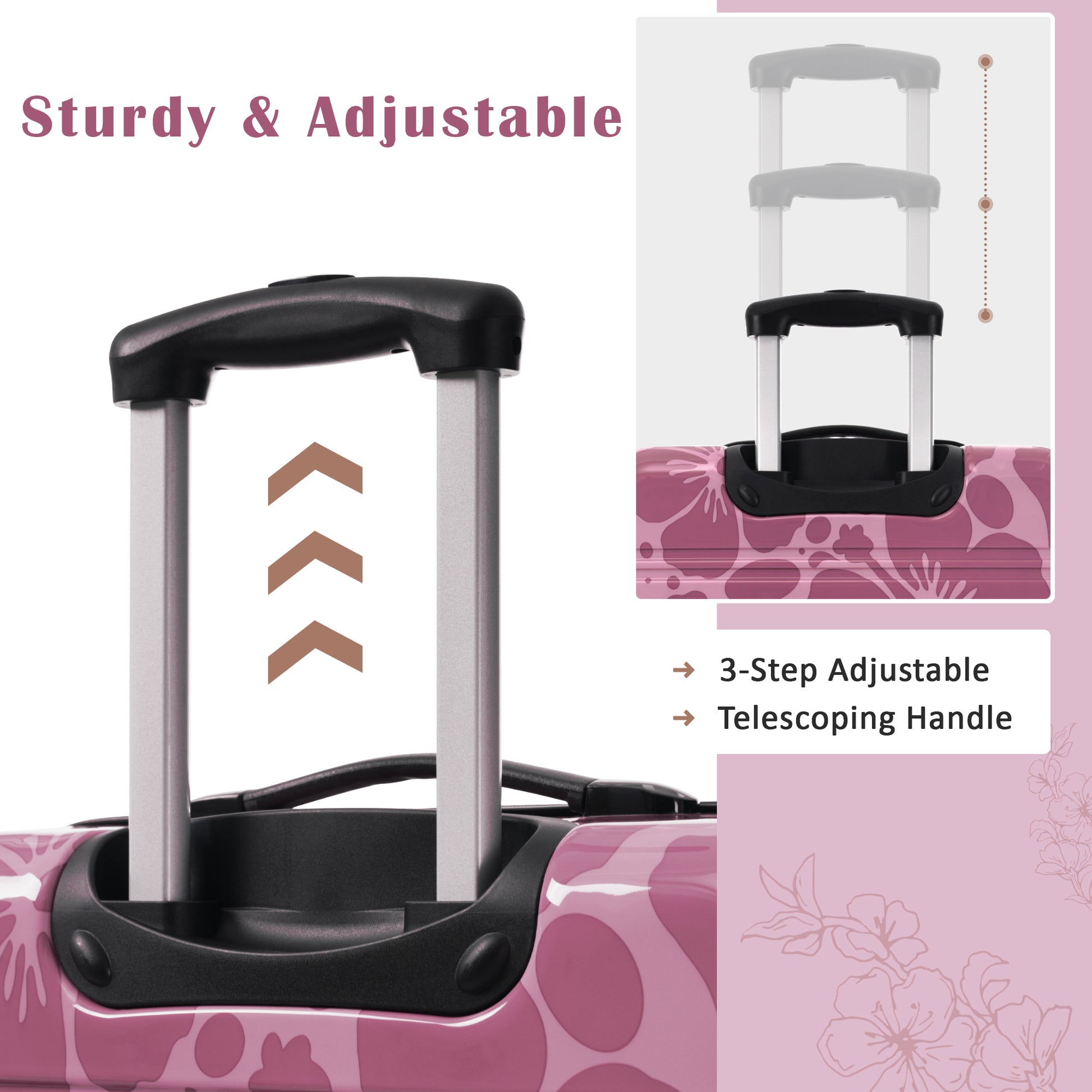 24067717