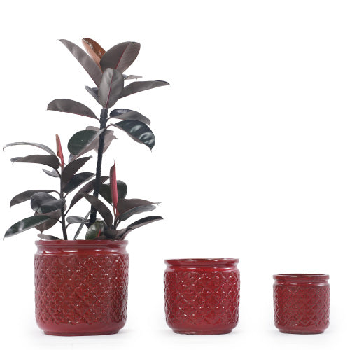 Ceramic Planter Set of 3 in Bean Paste Red Ceramic Modern Pots for Indoor or Patio Plant Display