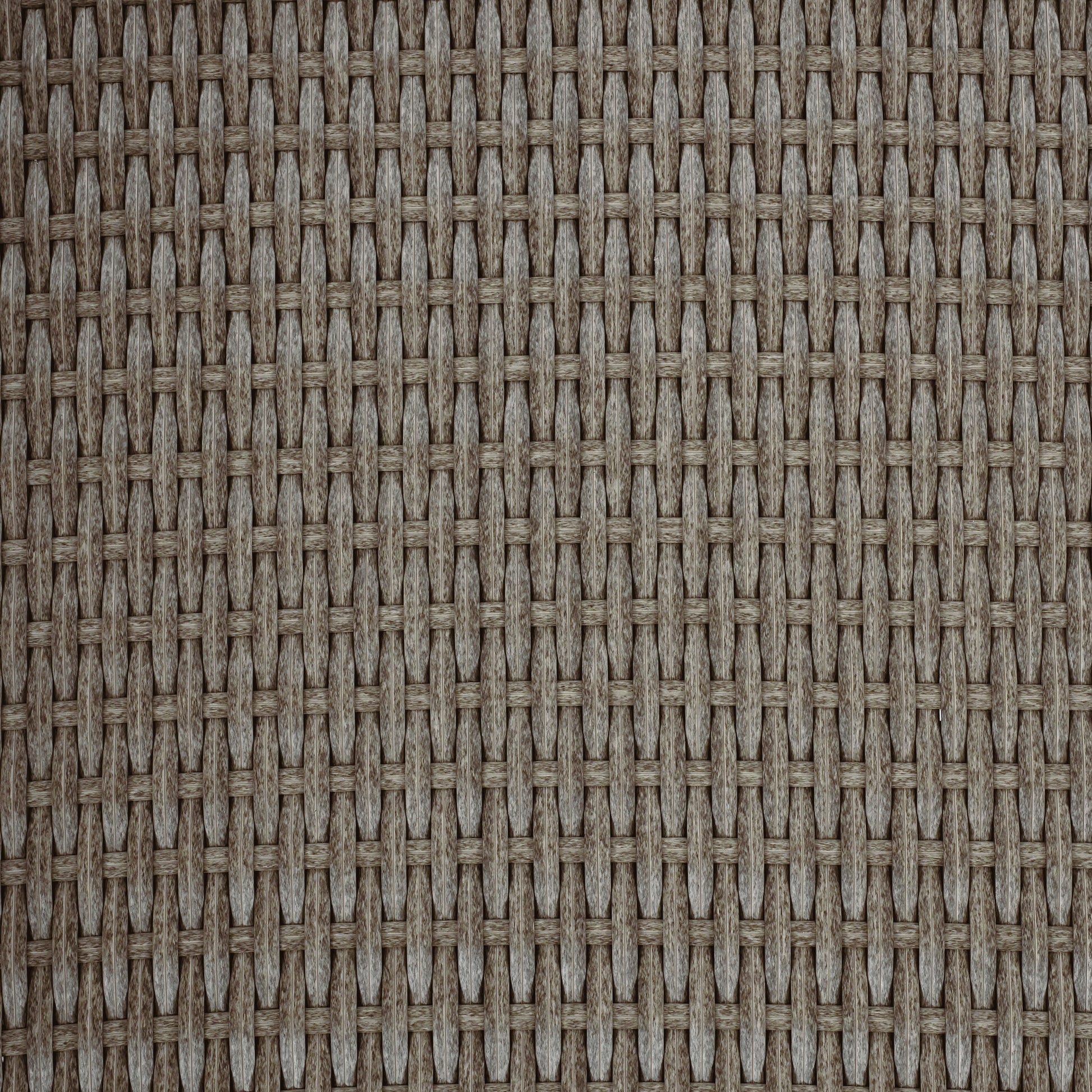 24090459