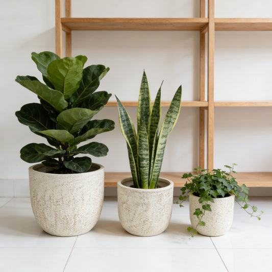 Planter Magnesium Oxide Light Yellow Modern for Plant Displays and Home Décor