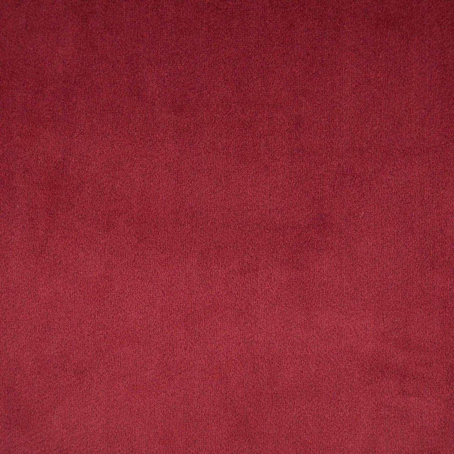 24269239
