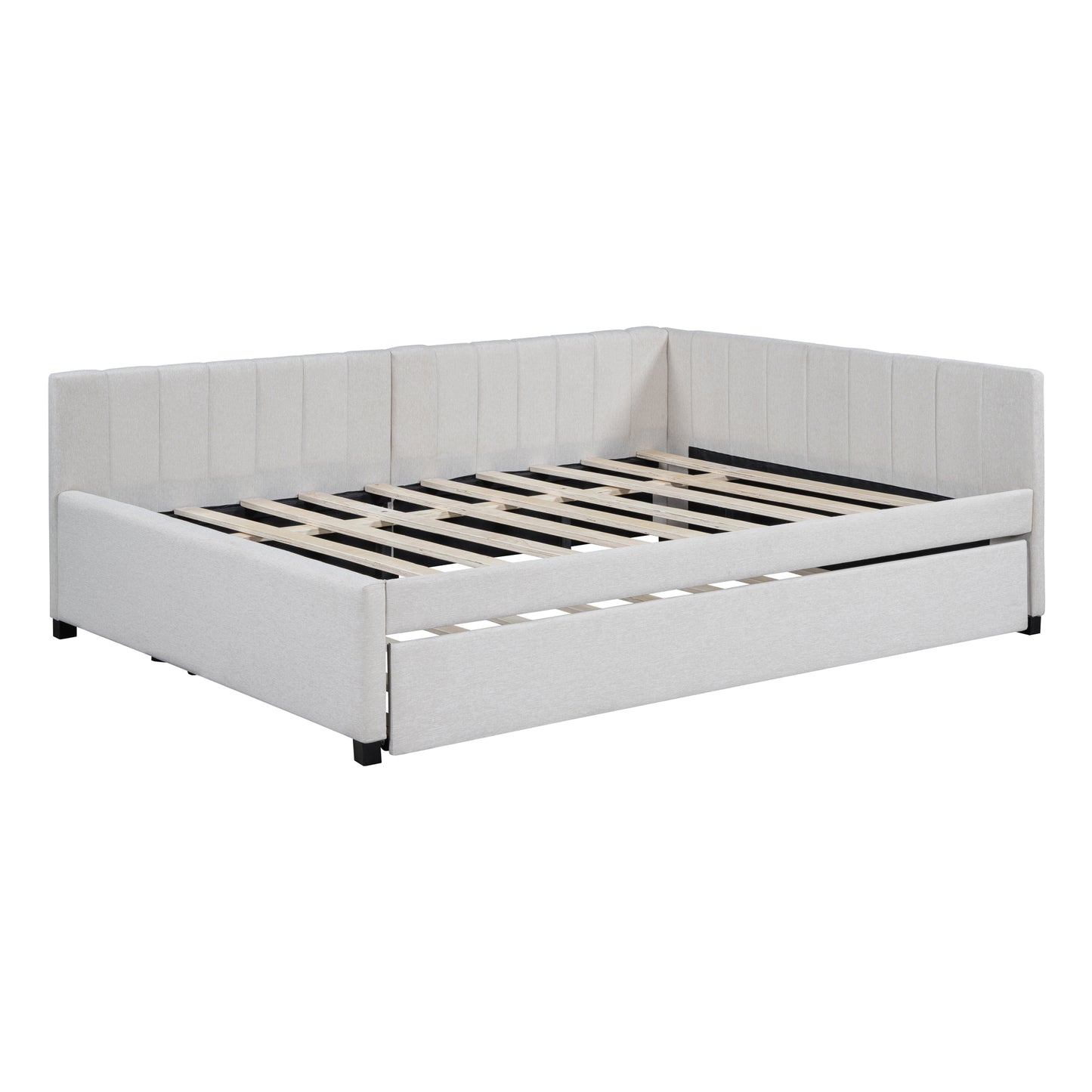 24659781