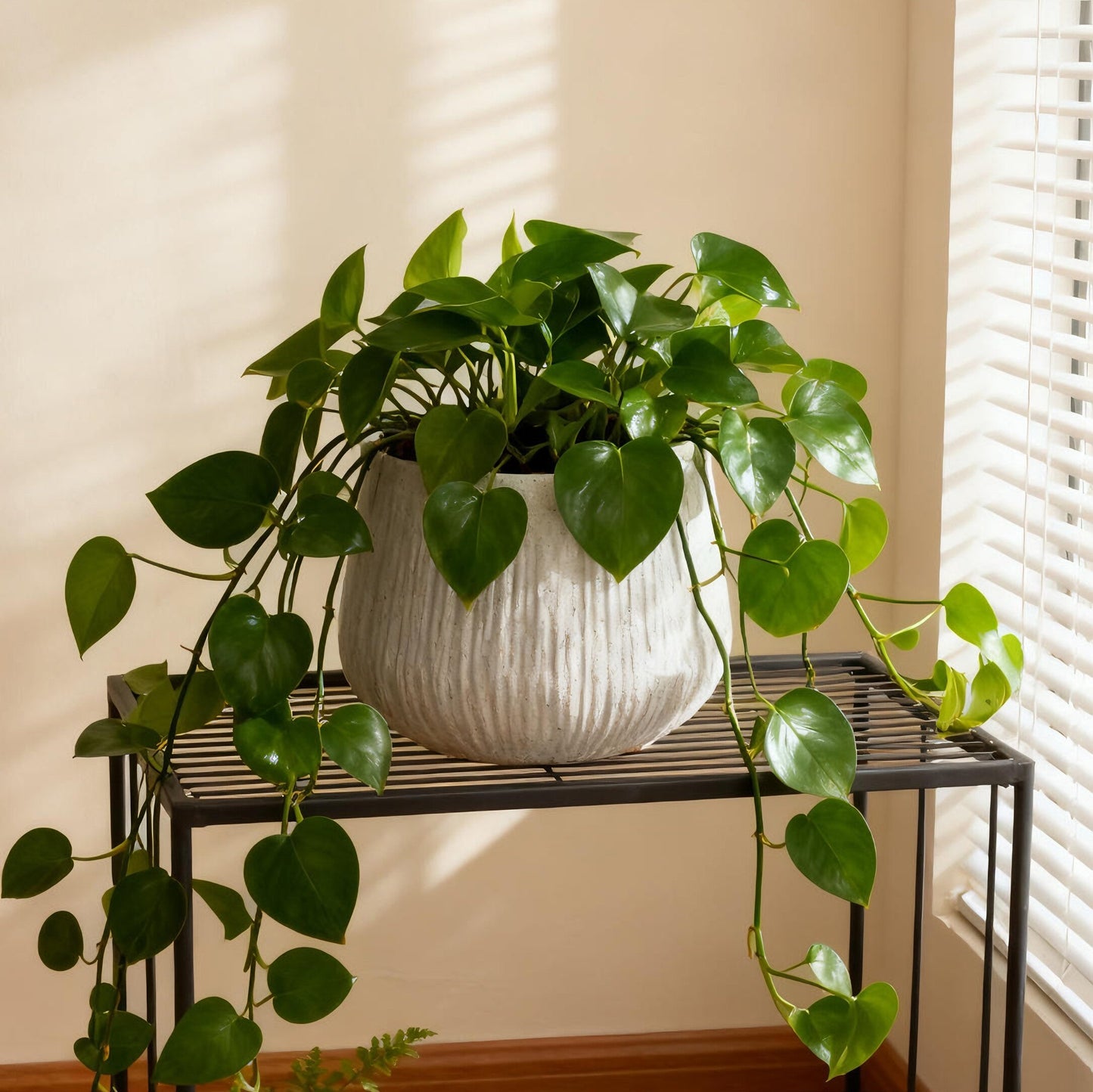 Planter 9.06-Inch Magnesium Oxide LIGHT GREY for Indoor, Outdoor or Decorative Plant Display
