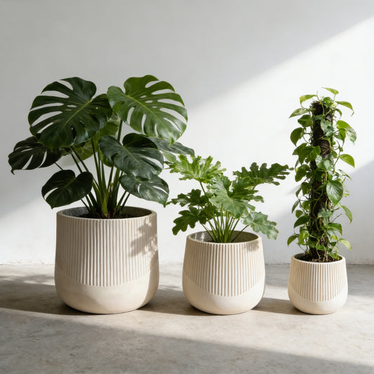 Planter Magnesium Oxide Antique White Modern for Plant Displays and Home Décor