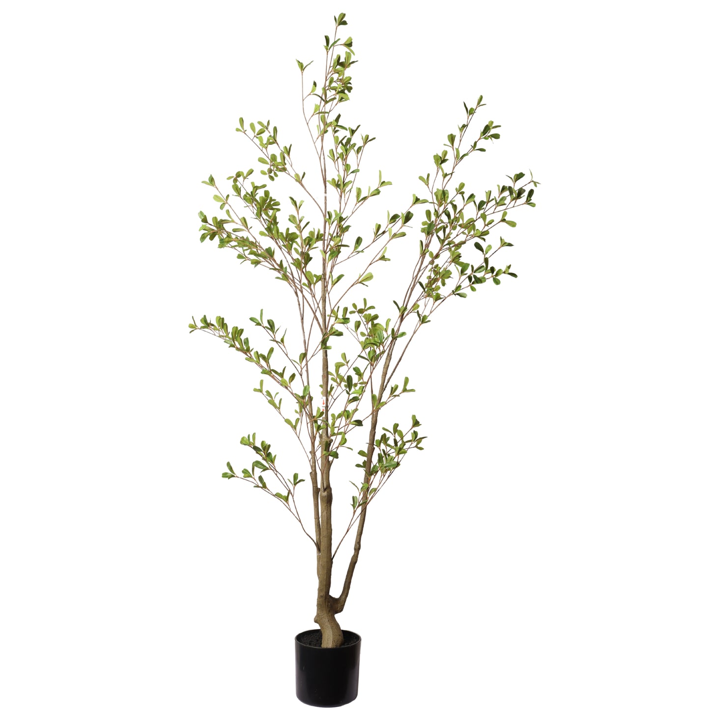 Lifelike Artificial Olive Tree with Black Plastic Pot, Faux Indoor Plant in Green Fabric Leaves, 60-Inch Tall for Home Living Room Decor