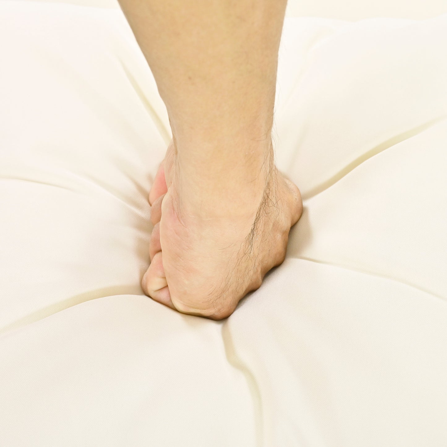 24090285