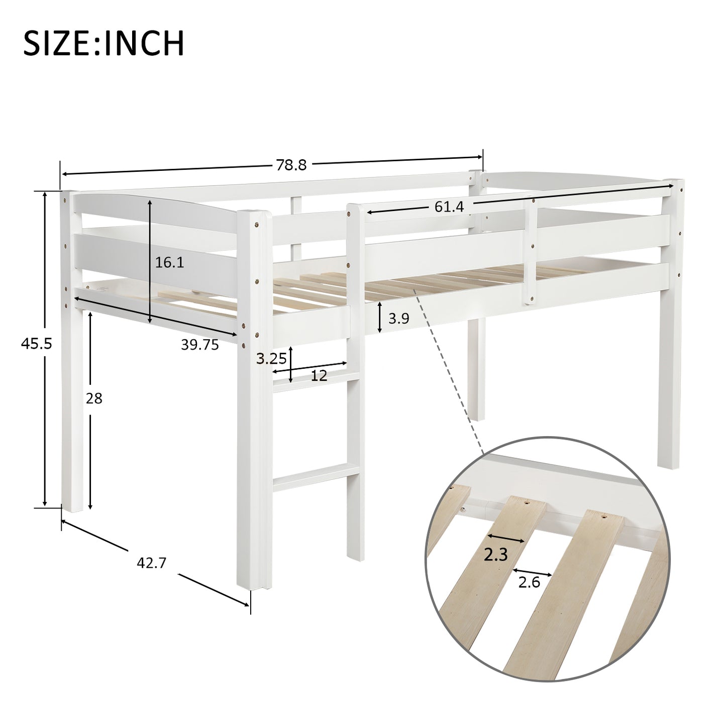 24653530