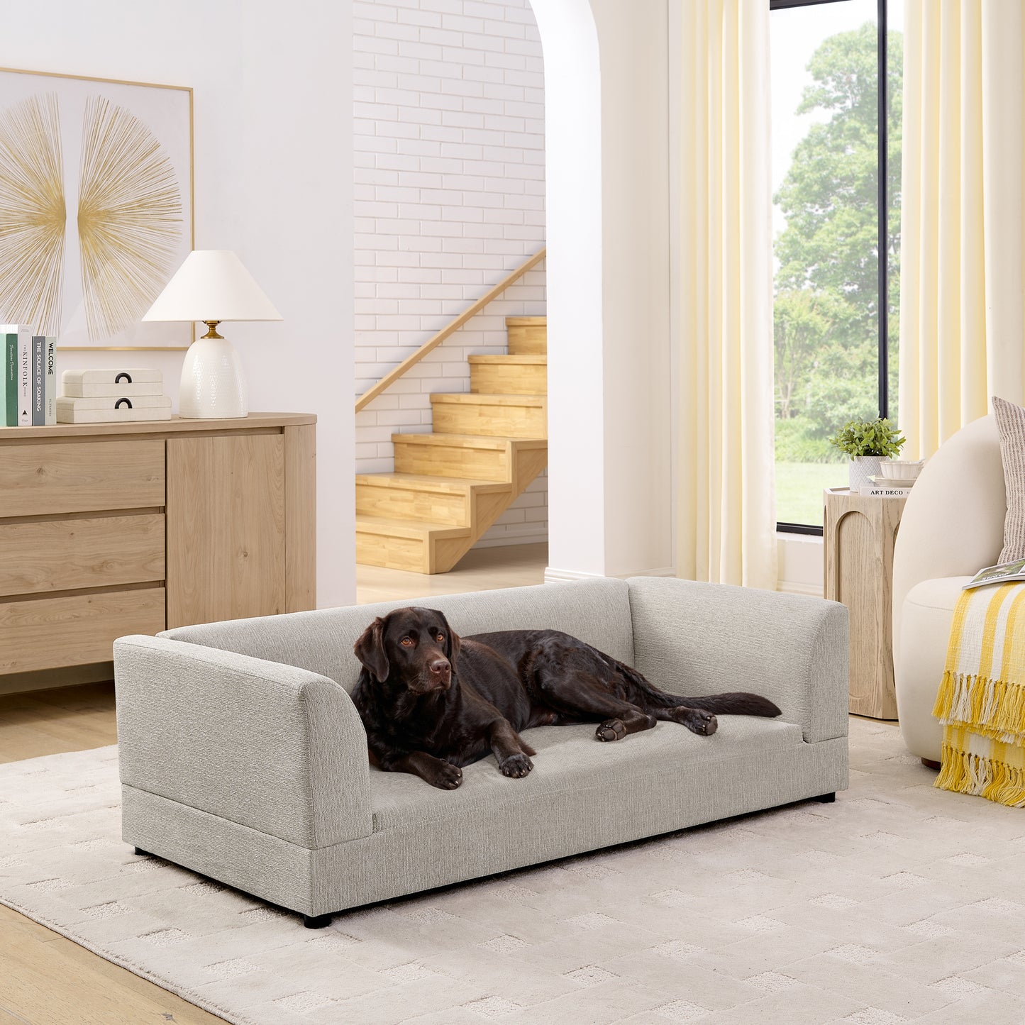 Comfortable Oversized Pet Sofa for Medium/Large Dogs - Modern Rectangular Design with Back