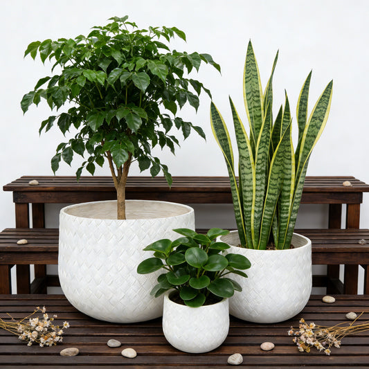 Assorted Sizes Magnesium Oxide Round Planter,21.65''+14.17''+8.66'' Dia Set of 3 Planter,Outdoor Indoor Plant Pot with Drainage Hole, White Color with Weaving Pattern Planter for Home Garden Patio